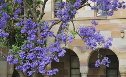 UQ's research will benefit Queensland and have global impact